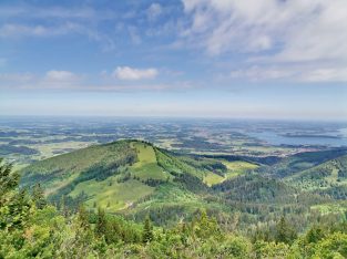 1aea80c7-11f8-40c6-9336-1e8f13e33019