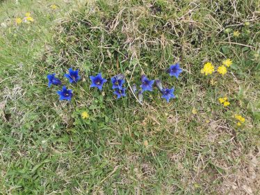 3117c1ce-4581-4c61-af18-d9749c11e595