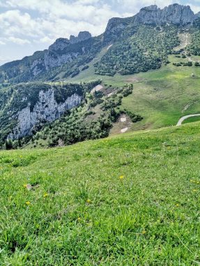 4557264e-2aba-43d6-bb01-c60192308fe9