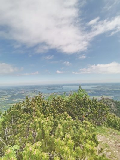 764a17cc-4364-403f-8842-503533c00087