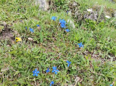 7858a819-b049-4640-9471-4400a9678379