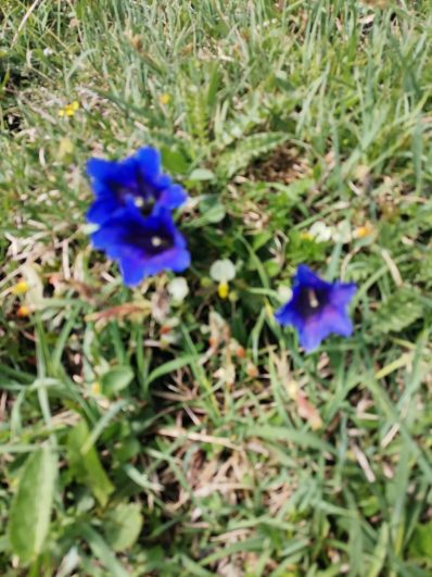 80cae29e-3657-48af-a330-40351ab01491