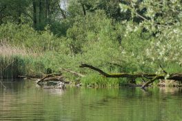 AktNatBeo-220526-ja-02_Prienmuendung