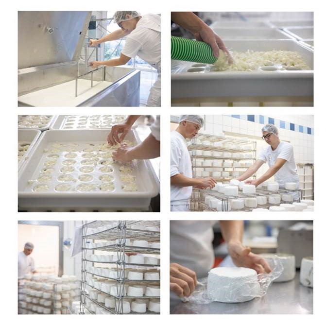 Besichtigung der Käserei_08.06.2022