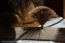 Bilder Maresa Jung TM 201718700840_846026052229517_2555678189015312647_o