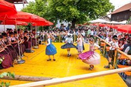 Dorffest-Grainbach-1000308