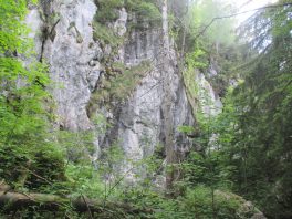 Von Adlgaß auf den Gamsknogel