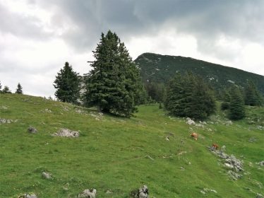 Von Adlgaß auf den Gamsknogel