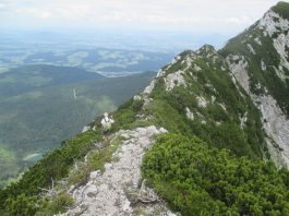 Von Adlgaß auf den Gamsknogel