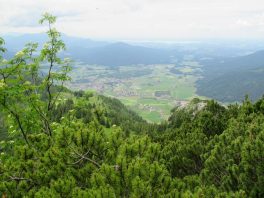Von Adlgaß auf den Gamsknogel