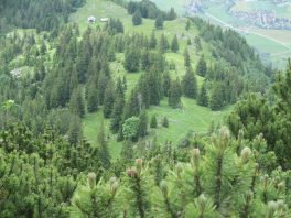 Von Adlgaß auf den Gamsknogel