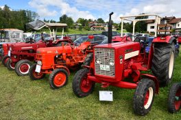 Kubi_220625_Prien_Bulldogtreffen (10)