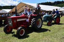 Kubi_220625_Prien_Bulldogtreffen (103)