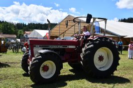 Kubi_220625_Prien_Bulldogtreffen (107)