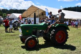 Kubi_220625_Prien_Bulldogtreffen (118)