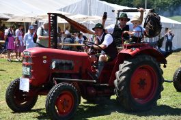 Kubi_220625_Prien_Bulldogtreffen (119)