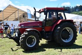 Kubi_220625_Prien_Bulldogtreffen (123)