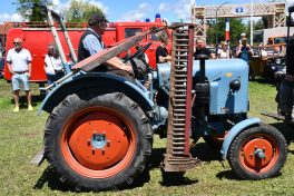 Kubi_220625_Prien_Bulldogtreffen (141)
