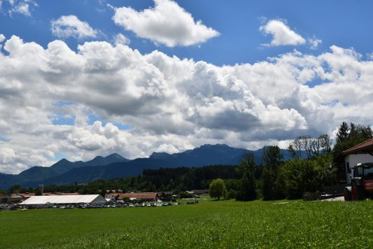 Kubi_220625_Prien_Bulldogtreffen (157)