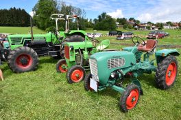 Kubi_220625_Prien_Bulldogtreffen (23)