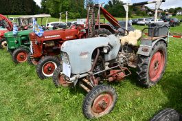 Kubi_220625_Prien_Bulldogtreffen (25)