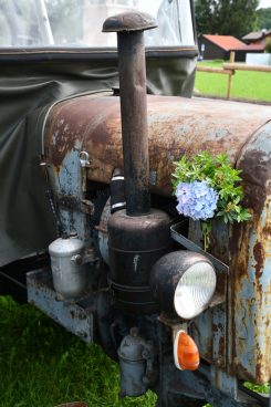 Kubi_220625_Prien_Bulldogtreffen (3)