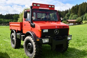 Kubi_220625_Prien_Bulldogtreffen (30)