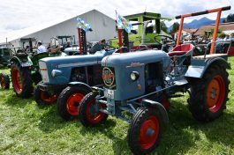Kubi_220625_Prien_Bulldogtreffen (35)