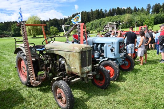Kubi_220625_Prien_Bulldogtreffen (36)