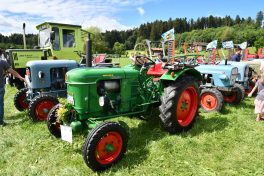 Kubi_220625_Prien_Bulldogtreffen (37)