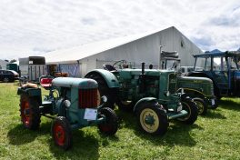 Kubi_220625_Prien_Bulldogtreffen (38)