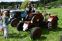 Kubi_220625_Prien_Bulldogtreffen (39)