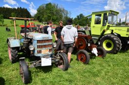 Kubi_220625_Prien_Bulldogtreffen (41)