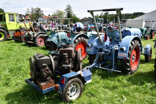 Kubi_220625_Prien_Bulldogtreffen (44)
