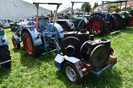Kubi_220625_Prien_Bulldogtreffen (45)