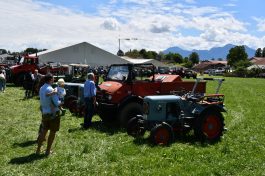 Kubi_220625_Prien_Bulldogtreffen (74)