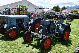 Kubi_220625_Prien_Bulldogtreffen (75)