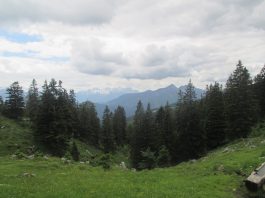 Von Adlgaß auf den Gamsknogel