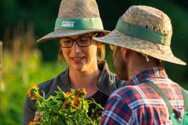 Salus Markenidentitaet (2)