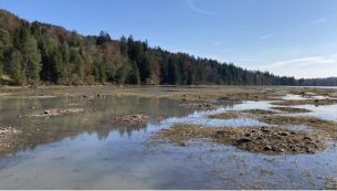 Wasserkraft Bayern (3)