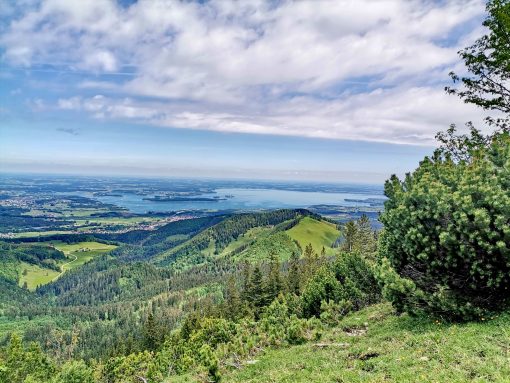 a996a336-f901-48fb-85a1-4978ae37ba19