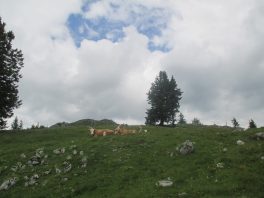 Von Adlgaß auf den Gamsknogel