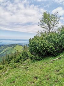 d20c078e-4b7d-42ba-8b2d-81ef5d9da319