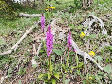 d7c50057-d340-4b3c-9e8f-d11b1edebd0c