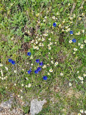 e1b892f6-7368-4641-920f-2178a2a86a7b