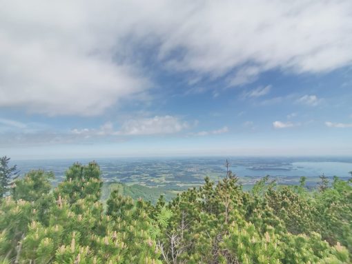 e9ff9573-07bb-41d6-8404-bf5b0b121766