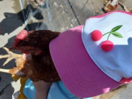 ferienbetreuung wastlhof (3)