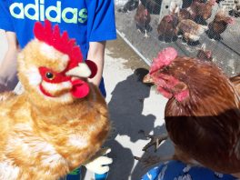 ferienbetreuung wastlhof (4)