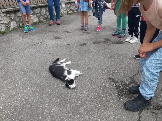 ferienbetreuung wastlhof (5)