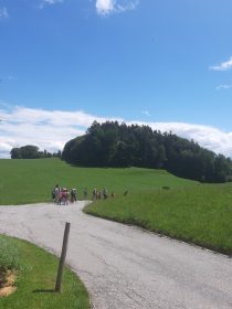 ferienbetreuung wastlhof (8)